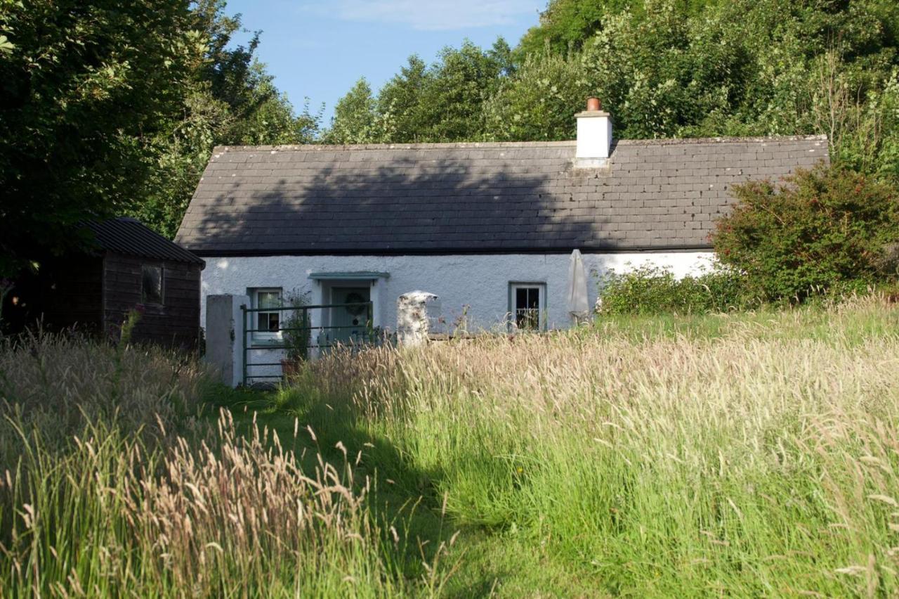 Clover Cottage Sligo Eksteriør billede