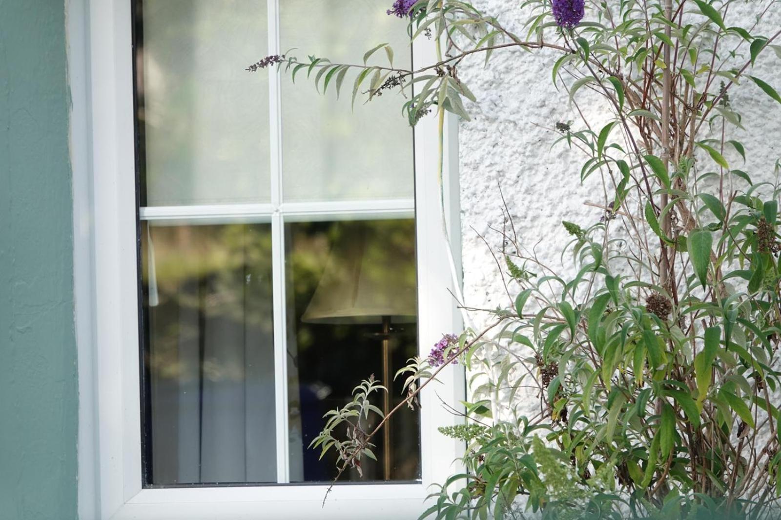 Clover Cottage Sligo Eksteriør billede